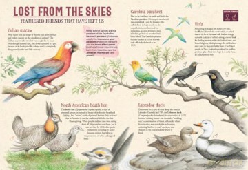 Extinctopedia: Discover what we have lost, what is at risk, and how we can preserve the diversity of our fragile planet (Smithsonian) - Serenella Quarello [KSIĄŻKA]