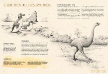 Extinctopedia: Discover what we have lost, what is at risk, and how we can preserve the diversity of our fragile planet (Smithsonian) - Serenella Quarello [KSIĄŻKA]