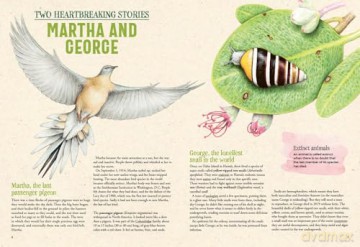 Extinctopedia: Discover what we have lost, what is at risk, and how we can preserve the diversity of our fragile planet (Smithsonian) - Serenella Quarello [KSIĄŻKA]