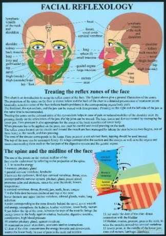 Facial Reflexology - Jan van Baarle [KSIĄŻKA]