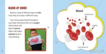 Facing Your Fear of Blood (Facing Your Fears) - Heather E. Schwartz [KSIĄŻKA]