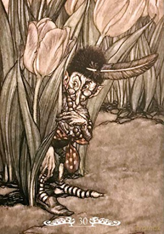 Fairy Oracle - Arthur Rackham [KSIĄŻKA]