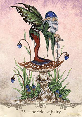 Fairy Wisdom Oracle Deck and Book Set - Amy Brown [KSIĄŻKA]