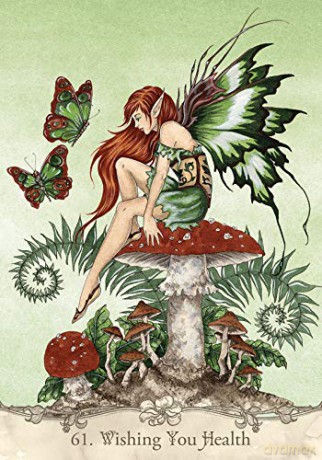Fairy Wisdom Oracle Deck and Book Set - Amy Brown [KSIĄŻKA]