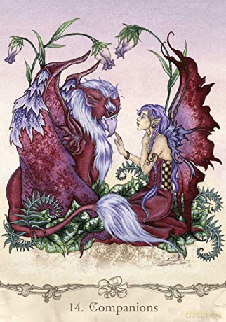Fairy Wisdom Oracle Deck and Book Set - Amy Brown [KSIĄŻKA]