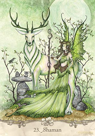 Fairy Wisdom Oracle Deck and Book Set - Amy Brown [KSIĄŻKA]