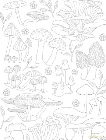 Fairycore: Enchanting Images to Color (Dover Adult Coloring Books) - Paule Ledesma [KSIĄŻKA]