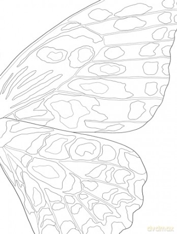 Fairycore: Enchanting Images to Color (Dover Adult Coloring Books) - Paule Ledesma [KSIĄŻKA]