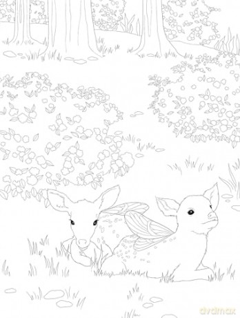 Fairycore: Enchanting Images to Color (Dover Adult Coloring Books) - Paule Ledesma [KSIĄŻKA]