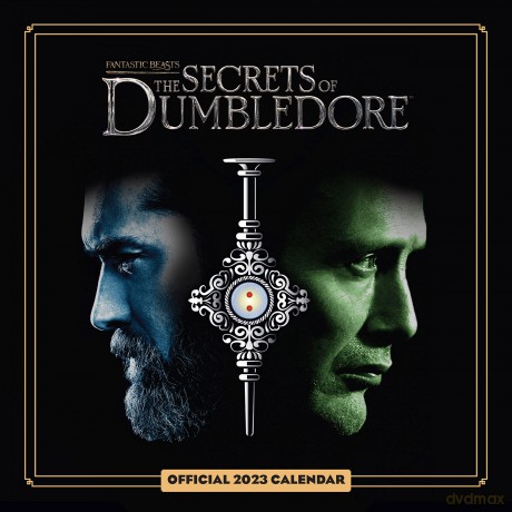 Fantastic Beasts 2023 Calendar, Month To View Square Wall Calendar, Official Product (Fantastic Beasts Square Calendar) - Danilo Promotions LTD [KALENDARZ]