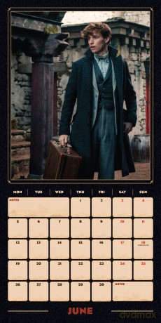 Fantastic Beasts 2023 Calendar, Month To View Square Wall Calendar, Official Product (Fantastic Beasts Square Calendar) - Danilo Promotions LTD [KALENDARZ]