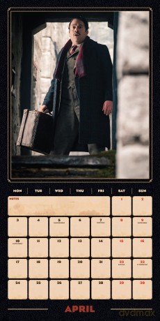 Fantastic Beasts 2023 Calendar, Month To View Square Wall Calendar, Official Product (Fantastic Beasts Square Calendar) - Danilo Promotions LTD [KALENDARZ]