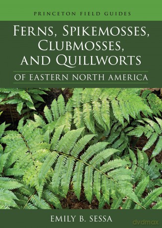 Ferns, Spikemosses, Clubmosses, and Quillworts of Eastern North America: 150 (Princeton Field Guides, 150) - Emily Sessa [KSIĄŻKA]