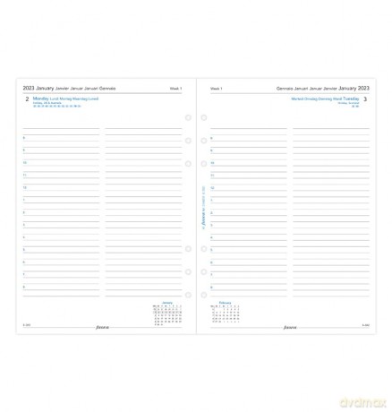 Filofax A5 day per page 5 language appointments diary - 2023, White,23-68515 [KSIĄŻKA]