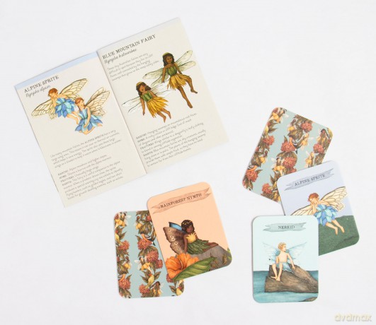 Find the Fairies: A Memory Game (Folklore Field Guides) - Emily Hawkins [KSIĄŻKA]