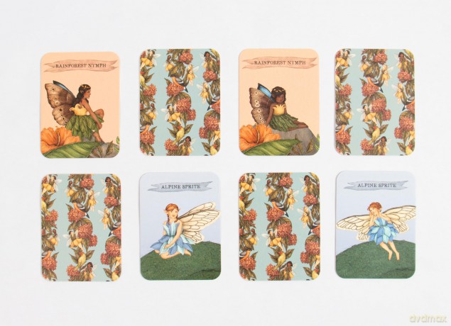 Find the Fairies: A Memory Game (Folklore Field Guides) - Emily Hawkins [KSIĄŻKA]