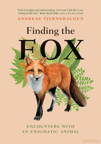 Finding the Fox: Encounters With an Enigmatic Animal - Andreas Tjernshaugen [KSIĄŻKA]