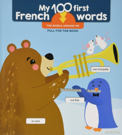 First 100 French Words - World: The world around me (MY 100 FIRST FRENCH WORDS) - Yoyo Books [KSIĄŻKA]