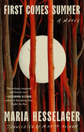 First Comes Summer: A Novel - Maria Hesselager [KSIĄŻKA]