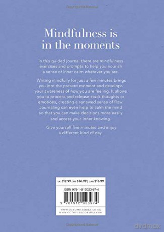 Five Minutes to a Mindful You: A guided journal for self-reflection (Five-minute Self-care Journals) - Aster [KSIĄŻKA]