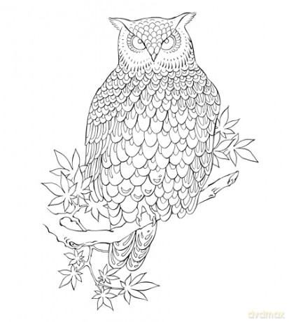 Flash Book, The: Hand-Drawn Tattoos to Color: Tattoo Designs to Color - Chris Garver [KSIĄŻKA]