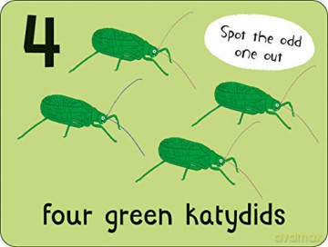 Flashcards: Bugs! 27 double-sided cards suitable for 3 year olds (Lots to Spot Flashcards) [KSIĄŻKA]