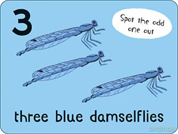 Flashcards: Bugs! 27 double-sided cards suitable for 3 year olds (Lots to Spot Flashcards) [KSIĄŻKA]