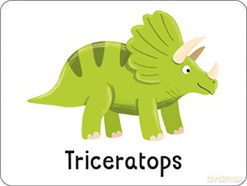 Flashcards: Dinosaurs! 27 double-sided cards suitable for 3 year olds (Lots to Spot Flashcards) [KSIĄŻKA]