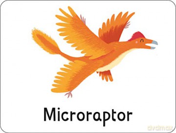 Flashcards: Dinosaurs! 27 double-sided cards suitable for 3 year olds (Lots to Spot Flashcards) [KSIĄŻKA]