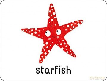 Flashcards: Under the Sea! 27 double-sided cards suitable for 3 year olds (Lots to Spot Flashcards) [KSIĄŻKA]