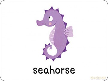 Flashcards: Under the Sea! 27 double-sided cards suitable for 3 year olds (Lots to Spot Flashcards) [KSIĄŻKA]