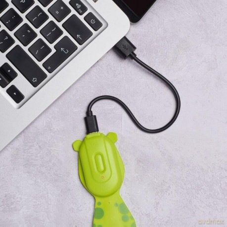 Flexilight Rechargeable Pals Frog [KSIĄŻKA]