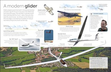 Flight: DK Eyewitness - Dk [KSIĄŻKA]