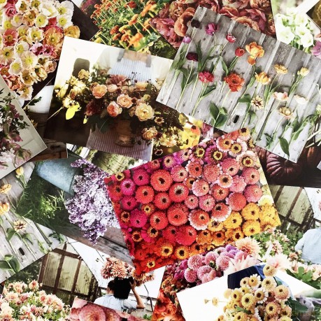 Floret Farm's Cut Flower Garden 100 Postcards - Erin Benzakein [KSIĄŻKA]