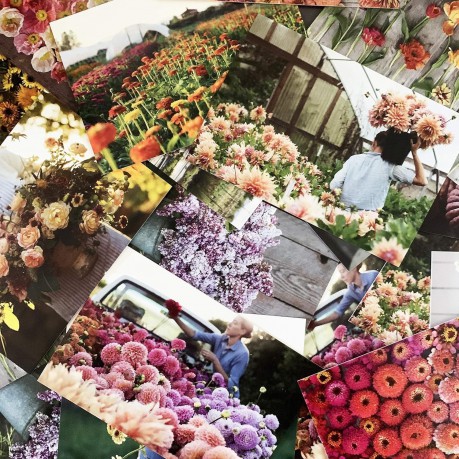 Floret Farm's Cut Flower Garden 100 Postcards - Erin Benzakein [KSIĄŻKA]