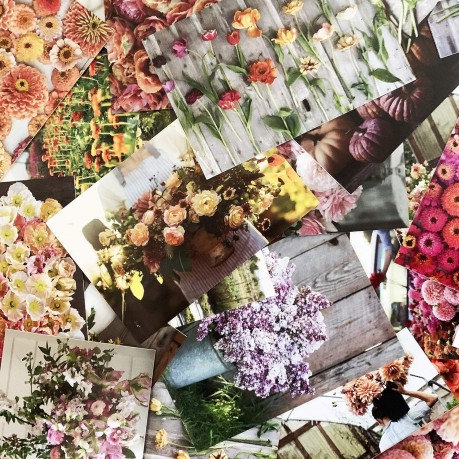 Floret Farm's Cut Flower Garden 100 Postcards - Erin Benzakein [KSIĄŻKA]