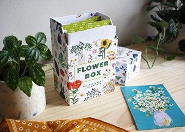 Flower Box Postcards: 100 Postcards by 10 artists - Princeton Architectural Press [KALENDARZ]