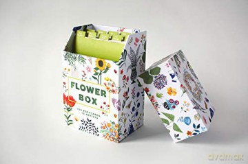 Flower Box Postcards: 100 Postcards by 10 artists - Princeton Architectural Press [KALENDARZ]
