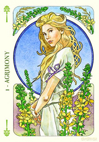 Flower Oracle: 38 full colour cards and instructions - Antonella Castelli [KSIĄŻKA]