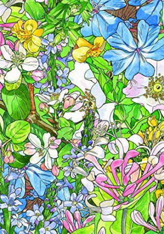 Flower Oracle: 38 full colour cards and instructions - Antonella Castelli [KSIĄŻKA]