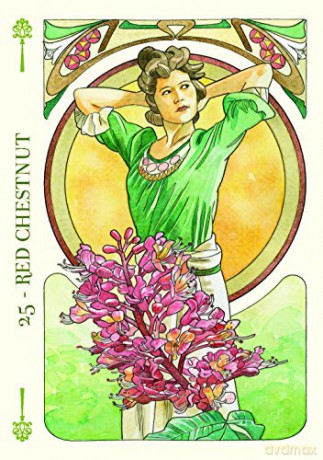Flower Oracle: 38 full colour cards and instructions - Antonella Castelli [KSIĄŻKA]