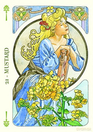 Flower Oracle: 38 full colour cards and instructions - Antonella Castelli [KSIĄŻKA]