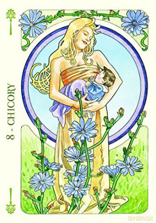 Flower Oracle: 38 full colour cards and instructions - Antonella Castelli [KSIĄŻKA]