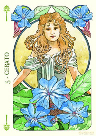 Flower Oracle: 38 full colour cards and instructions - Antonella Castelli [KSIĄŻKA]