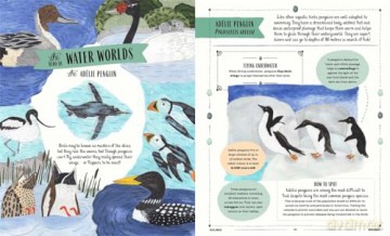 Fly: A Child's Guide to Birds (In Our Nature) - David Lindo [KSIĄŻKA]
