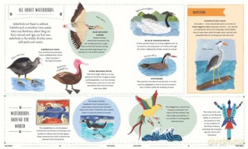 Fly: A Child's Guide to Birds (In Our Nature) - David Lindo [KSIĄŻKA]