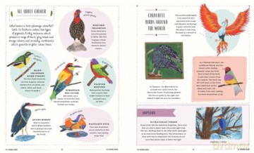 Fly: A Child's Guide to Birds (In Our Nature) - David Lindo [KSIĄŻKA]