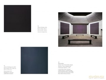 Focal Points: Ad Reinhardt - Robert Storr [KSIĄŻKA]