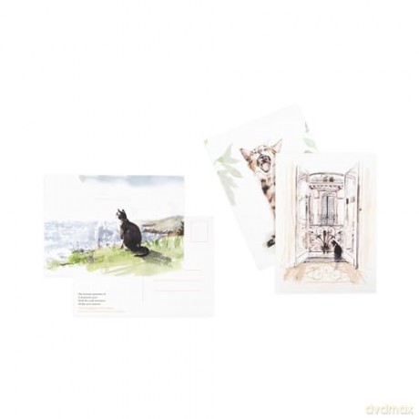For the Love of Cats: 25 Postcards - Ana Sampson [KSIĄŻKA]