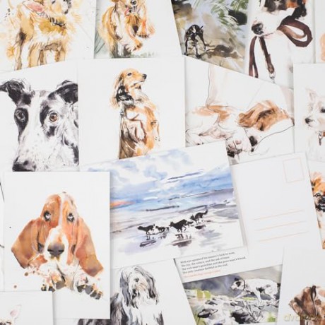 For the Love of Dogs: 25 Postcards - Ana Sampson [KSIĄŻKA]